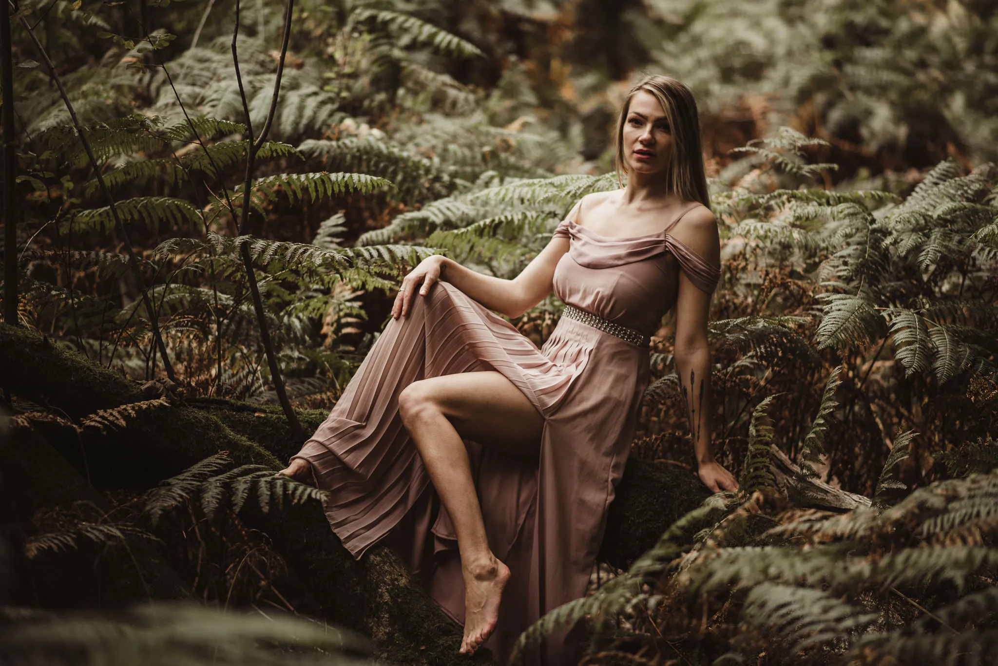 The Fern Sanctuary fine art photography